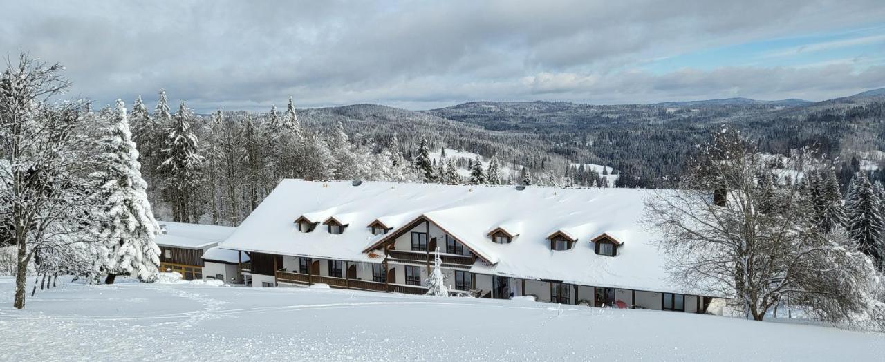 2 Zimmer Mitterdorf Philippsreut Dış mekan fotoğraf