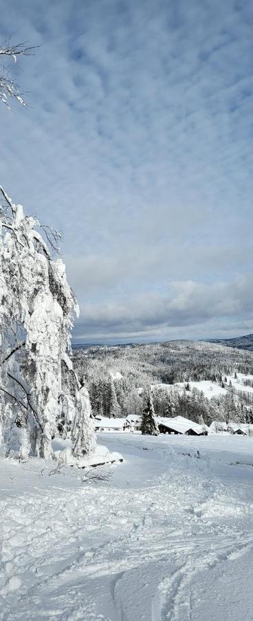 2 Zimmer Mitterdorf Philippsreut Dış mekan fotoğraf